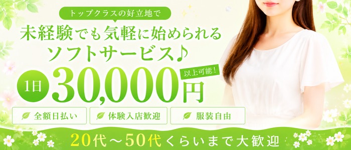 フォーカスパートⅡ