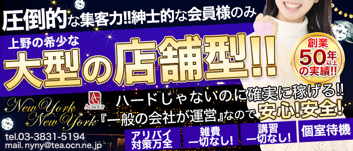 ニューヨークニューヨーク~NewYork NewYork~