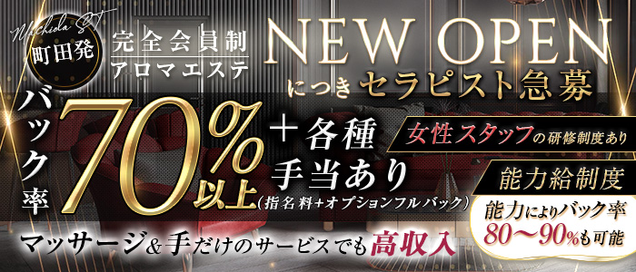 ST(エスティー)