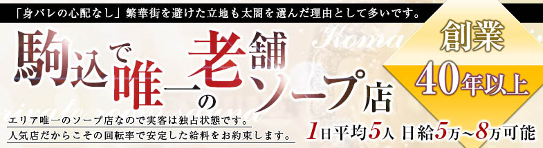 太閤