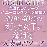 グッドワイフ