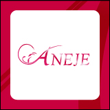 ANEJE～アネージュ池袋店～(ユメオト)