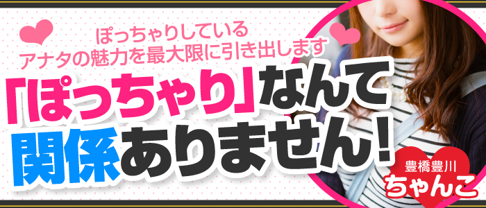 豊橋豊川ちゃんこ豊橋豊川ちゃんこ