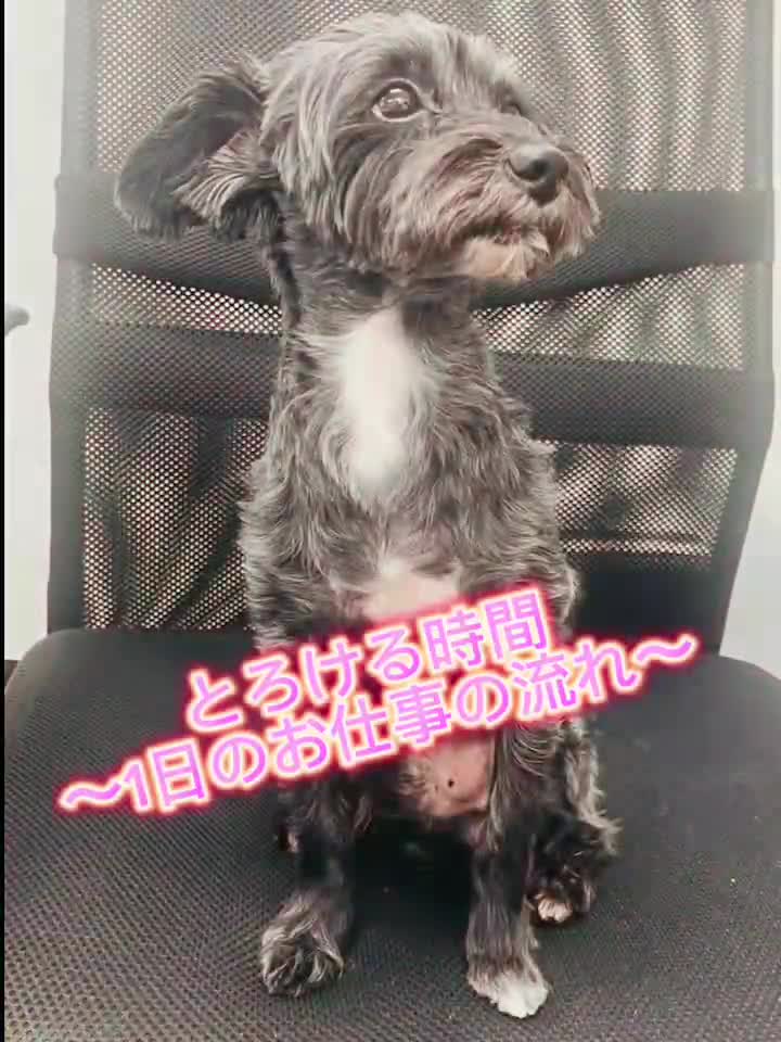 とろける時間～脳バク♡エステ～