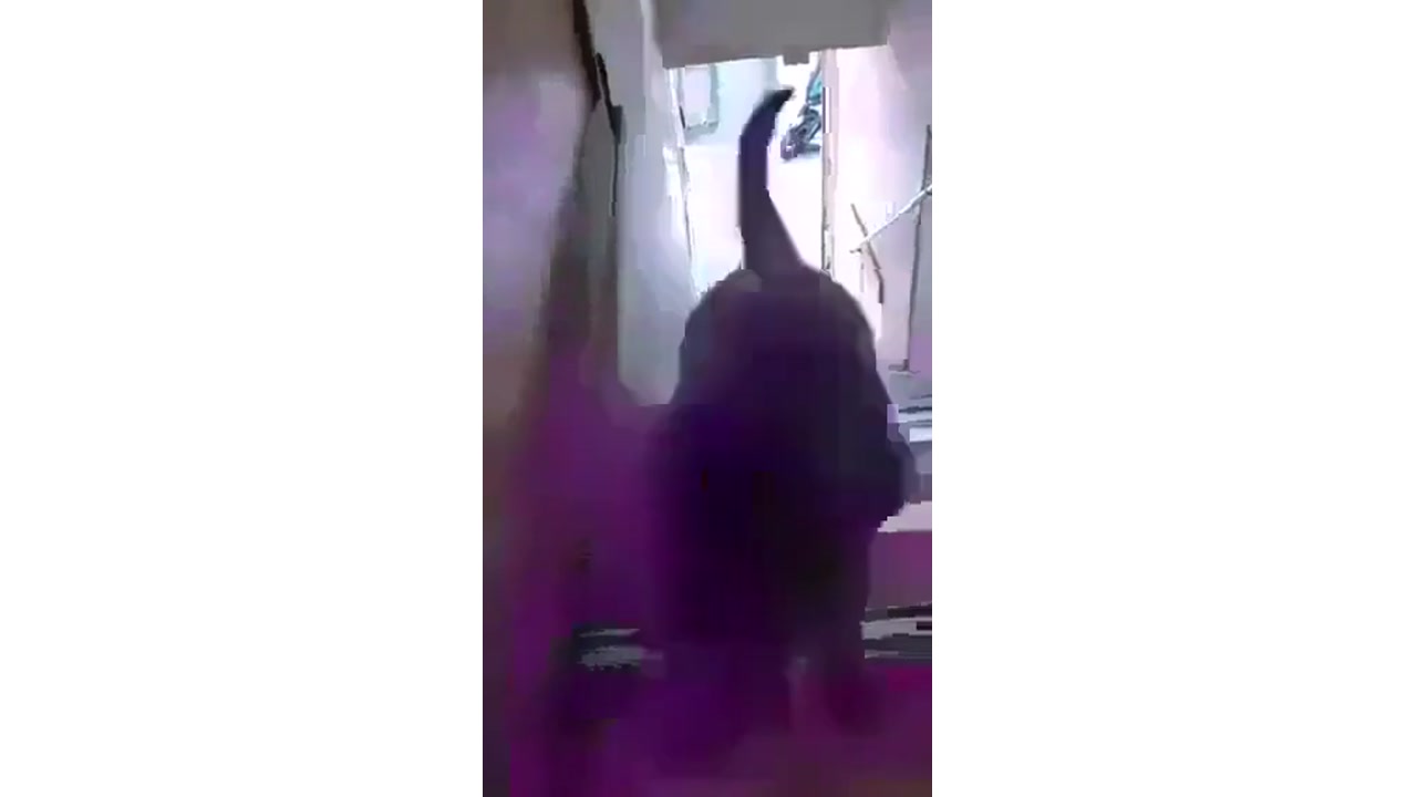 お座敷サロン　カップル